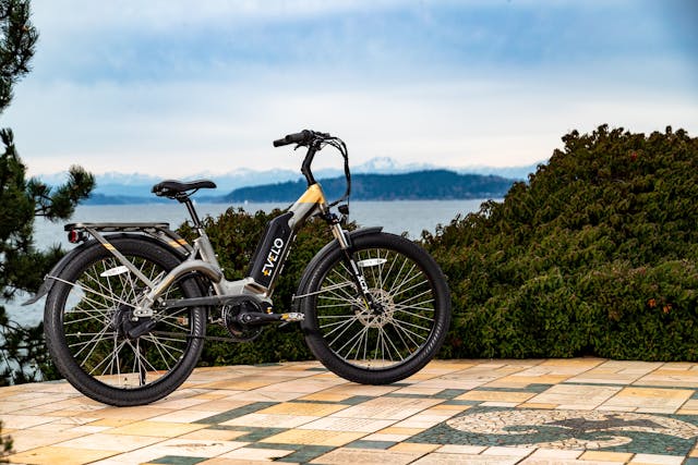 e-bike owner